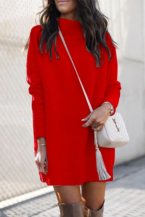 Solid Crewneck Long Sleeve Knit Dress