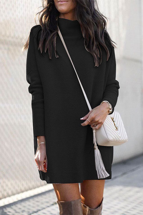 Solid Crewneck Long Sleeve Knit Dress